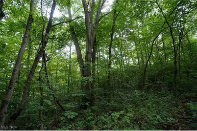 34799 Paw Rd, Lower Salem, OH 45745 - Photo 46