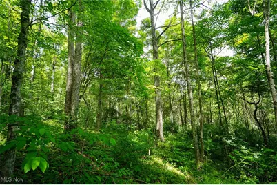 34799 Paw Rd, Lower Salem, OH 45745 - Photo 44