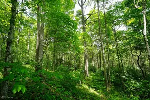 34799 Paw Rd, Lower Salem, OH 45745 - Photo 44