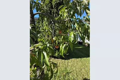 60 Flamingo Avenue, Amherst, OH 44001 - Photo 46