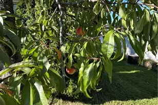 60 Flamingo Ave, Amherst, OH 44001 - Photo 46