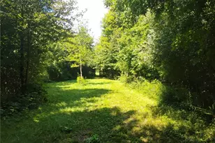 5427 Slater Rd, Williamsfield, OH 44093 - Photo 44