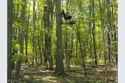 5427 Slater Road, Williamsfield, OH 44093 - Photo 46