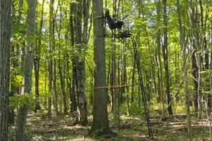 5427 Slater Rd, Williamsfield, OH 44093 - Photo 46