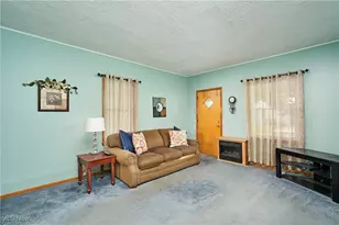 7206 Deveny Ave, Loveland, OH 44105 - Photo 4