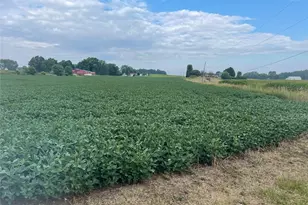 2260 Broadway Ave NE, East Canton, OH 44730 - Photo 44