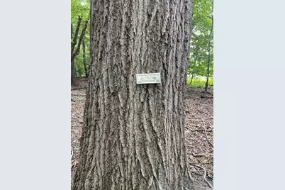 2260 Broadway Avenue NE, East Canton, OH 44730 - Photo 48