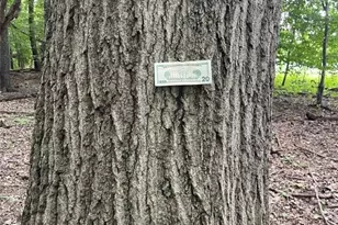 2260 Broadway Ave NE, East Canton, OH 44730 - Photo 48