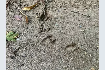 200 Frakes Road, Lower Salem, OH 45745 - Photo 38