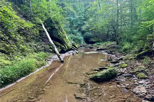 200 Frakes Rd, Lower Salem, OH 45745 - Photo 32