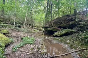 200 Frakes Rd, Lower Salem, OH 45745 - Photo 28