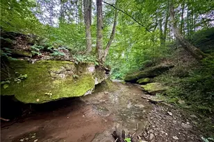 200 Frakes Rd, Lower Salem, OH 45745 - Photo 36