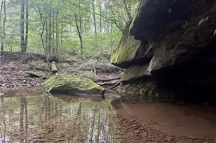 200 Frakes Rd, Lower Salem, OH 45745 - Photo 30