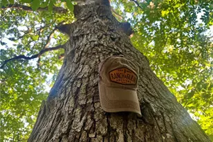 200 Frakes Rd, Lower Salem, OH 45745 - Photo 18