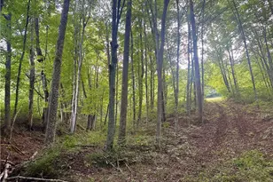 200 Frakes Rd, Lower Salem, OH 45745 - Photo 40