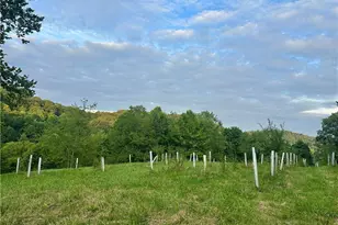 200 Frakes Rd, Lower Salem, OH 45745 - Photo 42