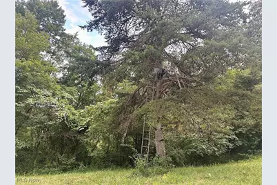 200 Frakes Road, Lower Salem, OH 45745 - Photo 50