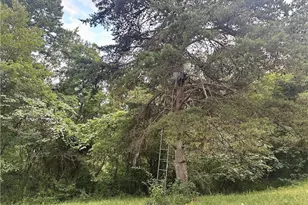 200 Frakes Rd, Lower Salem, OH 45745 - Photo 50