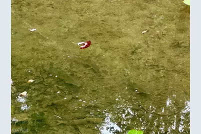 325 N Fork Road, New Matamoras, OH 45767 - Photo 32