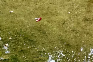 325 N Fork Rd, New Matamoras, OH 45767 - Photo 32