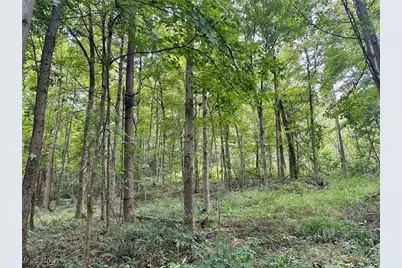 325 N Fork Road, New Matamoras, OH 45767 - Photo 18