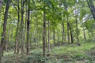 325 N Fork Rd, New Matamoras, OH 45767 - Photo 18