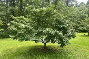 325 N Fork Rd, New Matamoras, OH 45767 - Photo 10