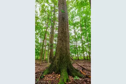 327 Township Road 350, Sullivan, OH 44880 - Photo 48