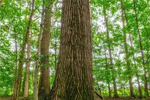 327 Township Rd 350, Sullivan, OH 44880 - Photo 48