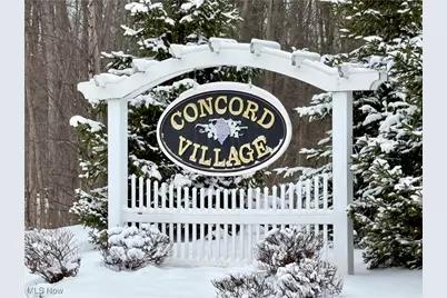 1465 Caymus Court, Avon, OH 44011 - Photo 36