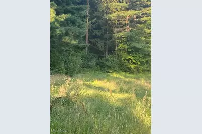 11065 Chillicothe Road, Kirtland, OH 44094 - Photo 14