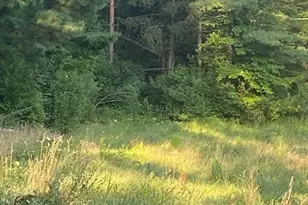 11065 Chillicothe Rd, Kirtland, OH 44094 - Photo 14