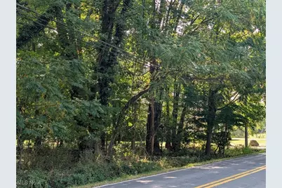 Schocalog Road, Akron, OH 44320 - Photo 1