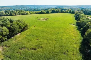 Austin Rd, Howard, OH 43028 - Photo 1