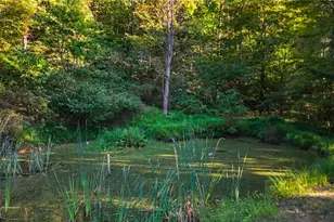 1788 Rosenbush Rd, Newport, OH 45768 - Photo 6