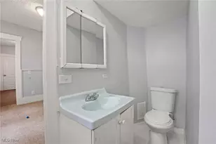 1563 W 102nd St, Loveland, OH 44102 - Photo 18