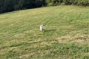 4593 Co Rd 15, Rayland, OH 43943 - Photo 6