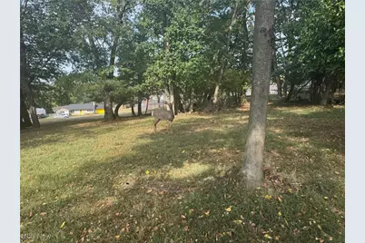 Harding- 36B Road, Zanesville, OH 43701 - Photo 1