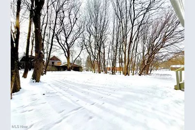 247 Reed Avenue, Campbell, OH 44405 - Photo 30