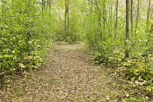 23685 Royalton Rd, Columbia Station, OH 44028 - Photo 14