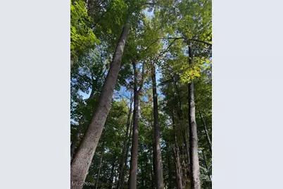 8145 Chagrin Road, Chagrin Falls, OH 44023 - Photo 40