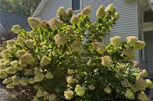 8145 Chagrin Rd, Chagrin Falls, OH 44023 - Photo 10