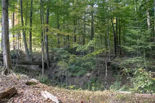 8145 Chagrin Rd, Chagrin Falls, OH 44023 - Photo 38