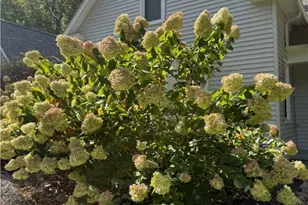 8145 Chagrin Rd, Chagrin Falls, OH 44023 - Photo 10