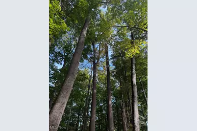 8145 Chagrin Road, Chagrin Falls, OH 44023 - Photo 40