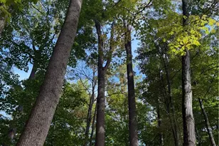 8145 Chagrin Rd, Chagrin Falls, OH 44023 - Photo 40