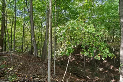 6273 E Law Road, Valley City, OH 44280 - Photo 44