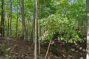 6273 E Law Rd, Valley City, OH 44280 - Photo 44