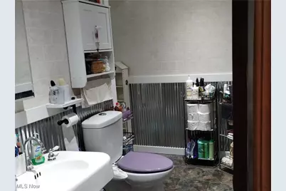 43311 Peck Wadsworth Road, Wellington, OH 44090 - Photo 4