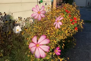 88 W Washington St, Painesville, OH 44077 - Photo 40